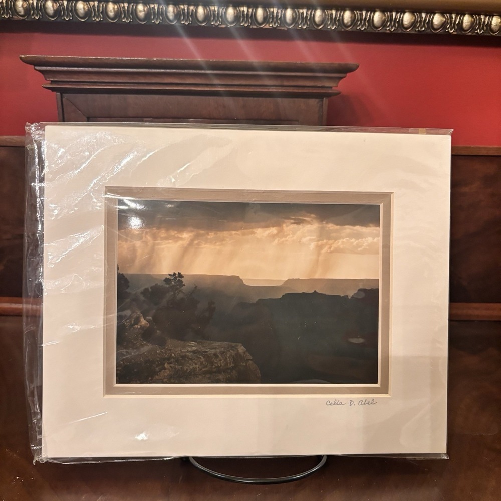 Celia D Abel Signed Grand Canyon Photo Rain Showers Over West Rim Southwest Art